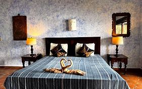 La Iguana Perdida